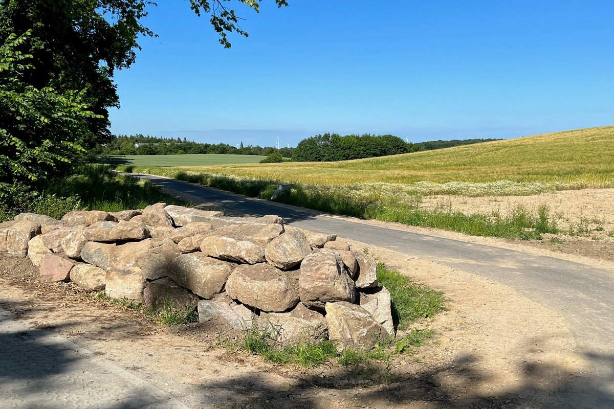 Radweg zwischen Lensahnerhof und Wahrendorf