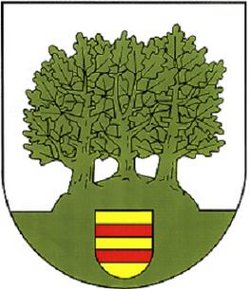 farbiges Wappen der Gemeinde Damlos