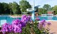 Schwimmbecken und Sprungturm im Hintergrund, im Vordergrund lilafarbener Pflox
