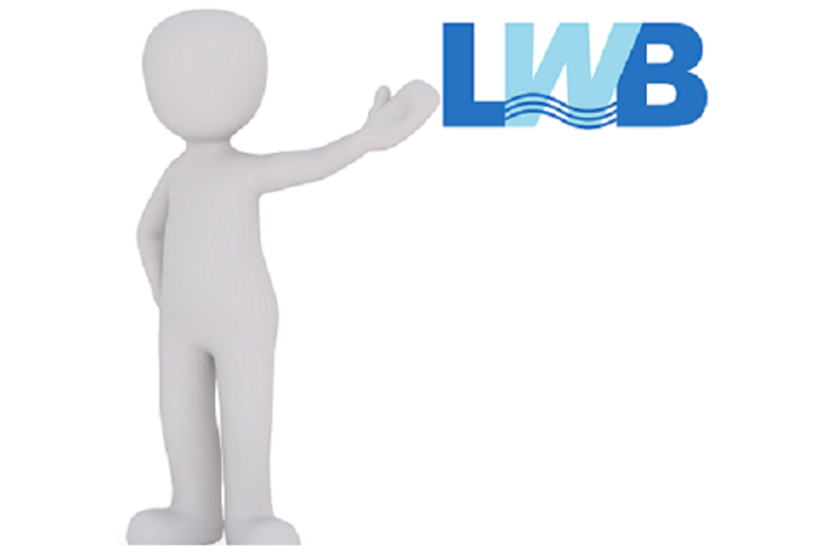 3D Figur mit LWB Logo
