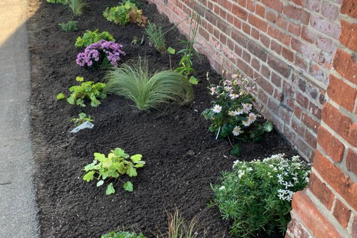 Seitenansicht des Gemeinschaftshauses mit neuen Blumenpflanzen